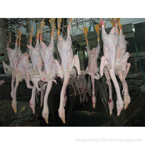 Chicken, Duck, Goose Butcher Equipment